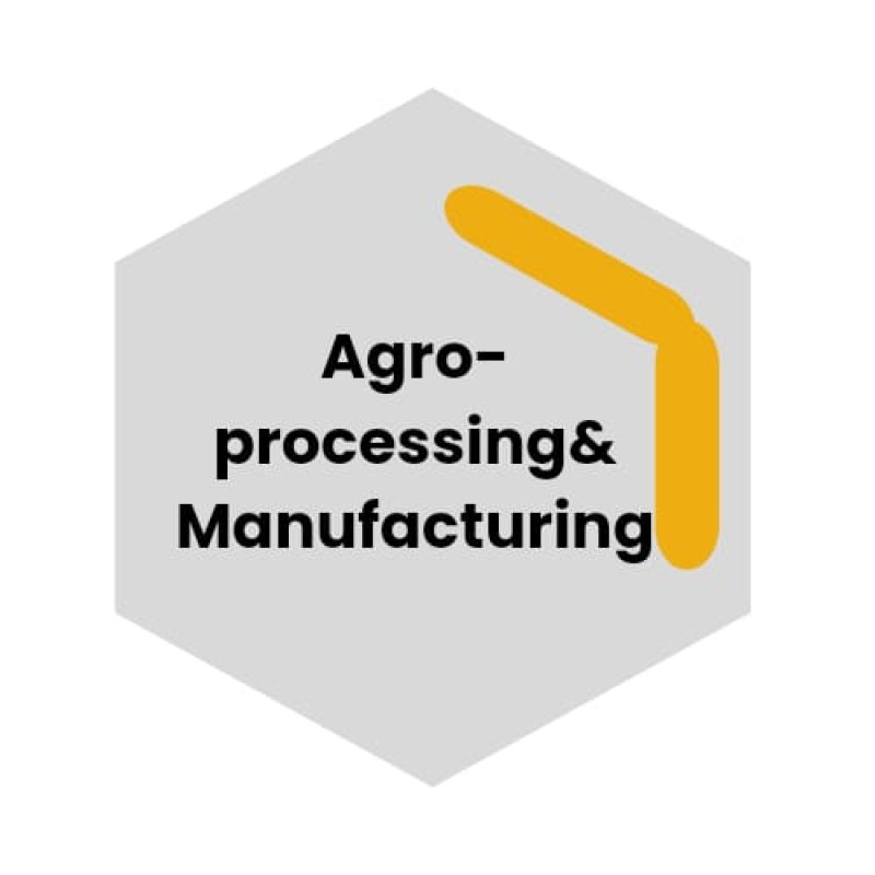 WhatsApp Image 2024-12-12 at 14.37.48